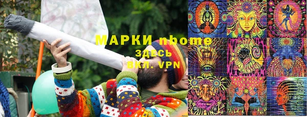 индика Кулебаки