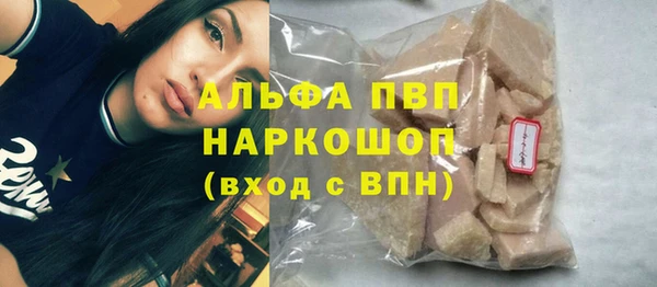 индика Кулебаки