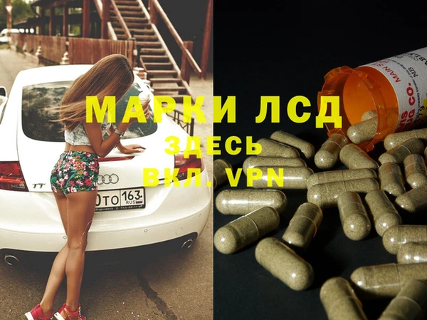 индика Кулебаки
