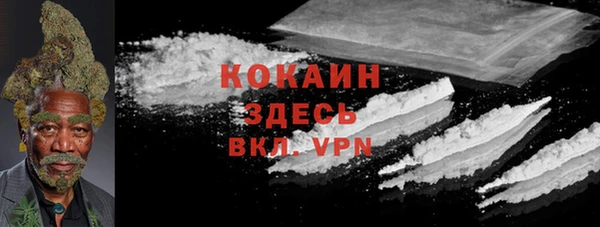 индика Кулебаки
