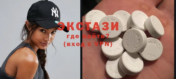 индика Кулебаки