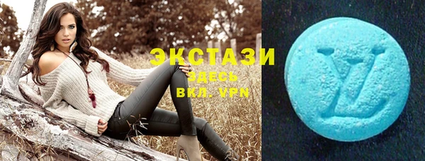 индика Кулебаки