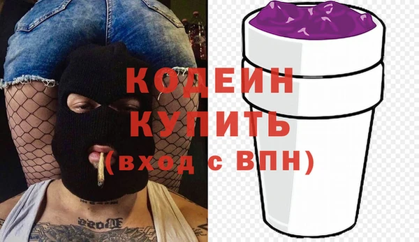индика Кулебаки