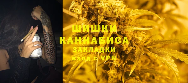 индика Кулебаки