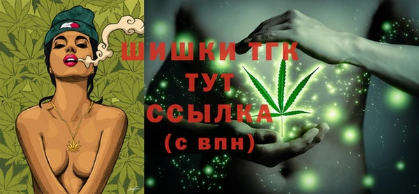 индика Кулебаки