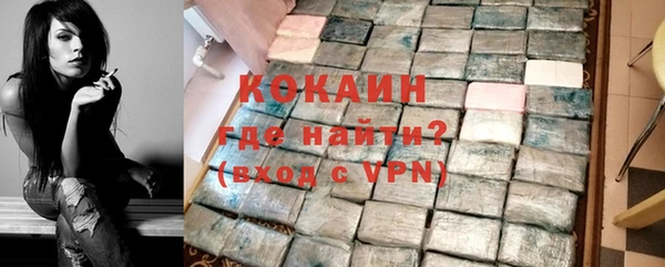 индика Кулебаки