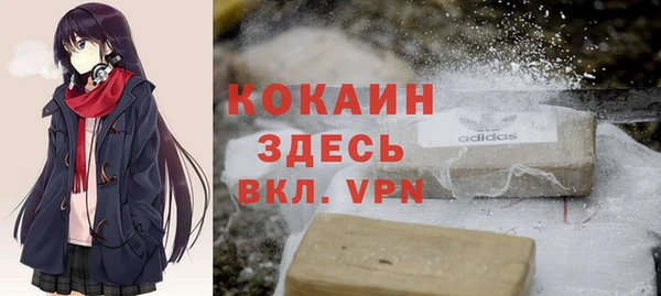 индика Кулебаки