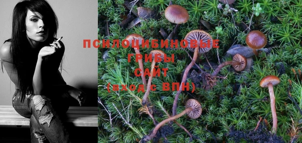 индика Кулебаки